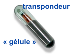 TUTO] Débrancher l'antidémarrage d'origine à transpondeur